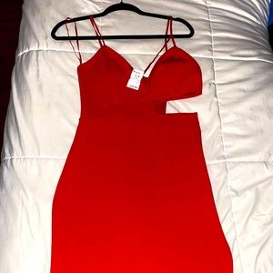 Akira Cutout Bodycon Dress worn once